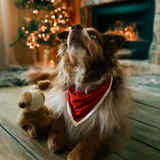 Bryndák pro psy Red Heritage Pet Bandana