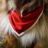 Bryndák pro psy Red Heritage Pet Bandana