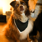 Bryndák pro psy Green Heritage Pet Bandana