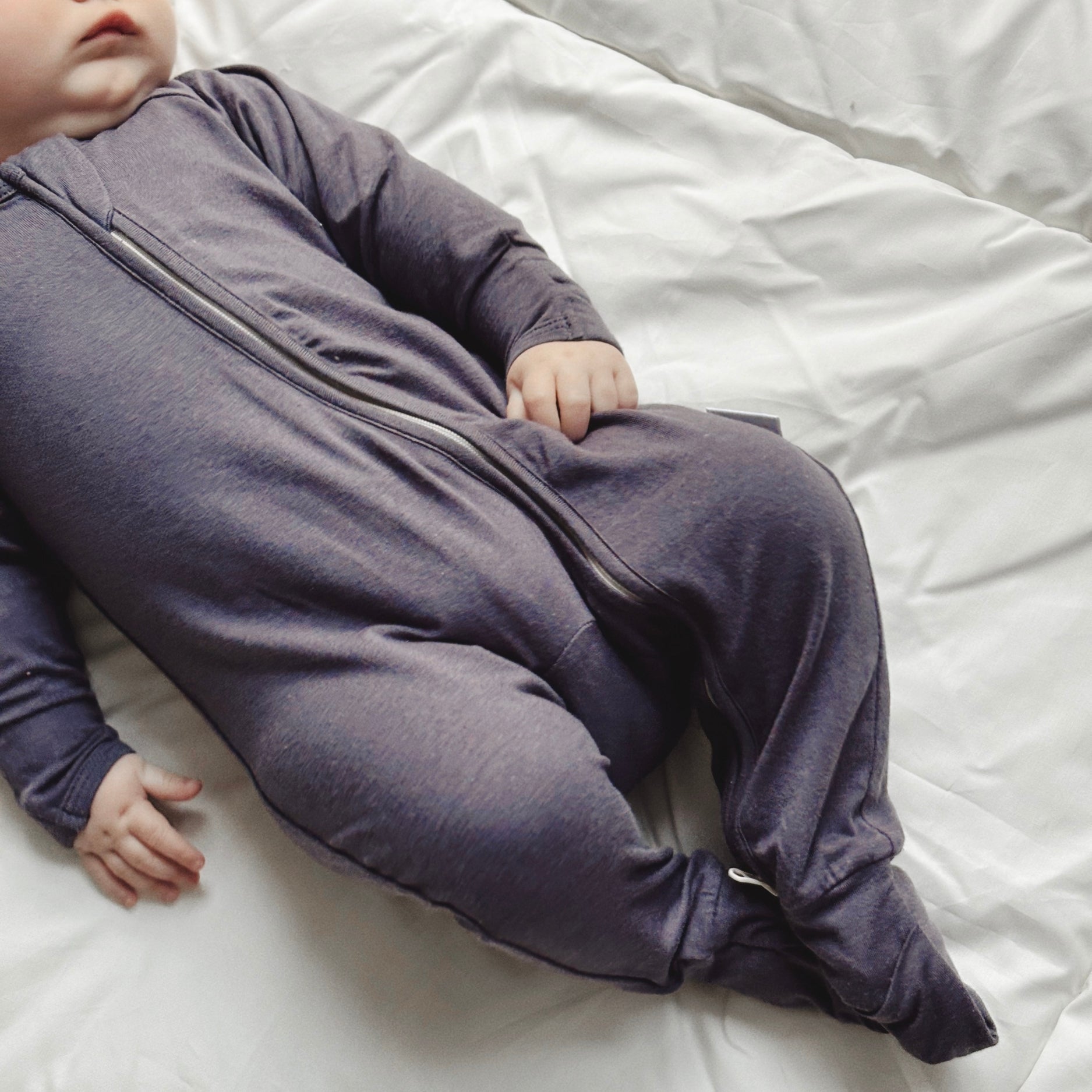 ZIPSTER™ Solids Mulberry Bliss