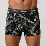 Calzoncillos bóxer para hombre Zebra