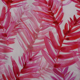 ZIPSTER™ Rosa Ferns